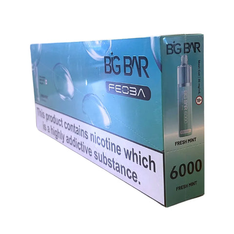 Box of 5 - Feoba Big Bar 6000 - Fresh Mint