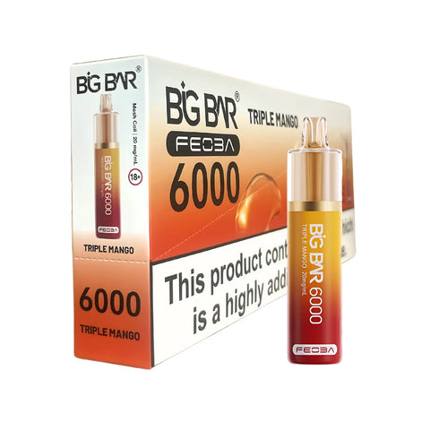 Box Of 5 - Feoba Big Bar 6000 - Disposable Vape