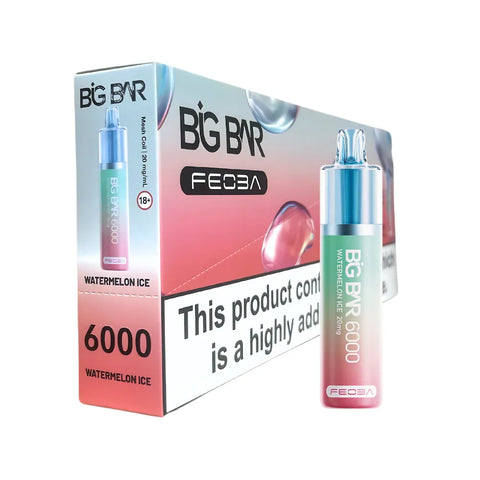 Box Of 5 - Feoba Big Bar 6000 - Disposable Vape