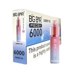Box Of 5 - Feoba Big Bar 6000 - Disposable Vape